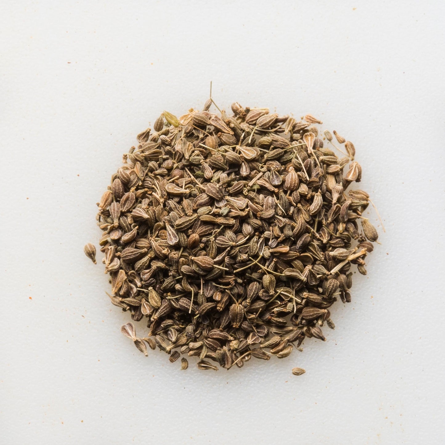 Organic Anise Seed