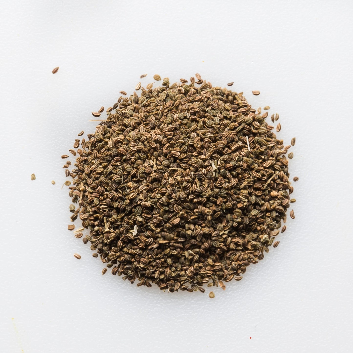 Organic Celery Seed