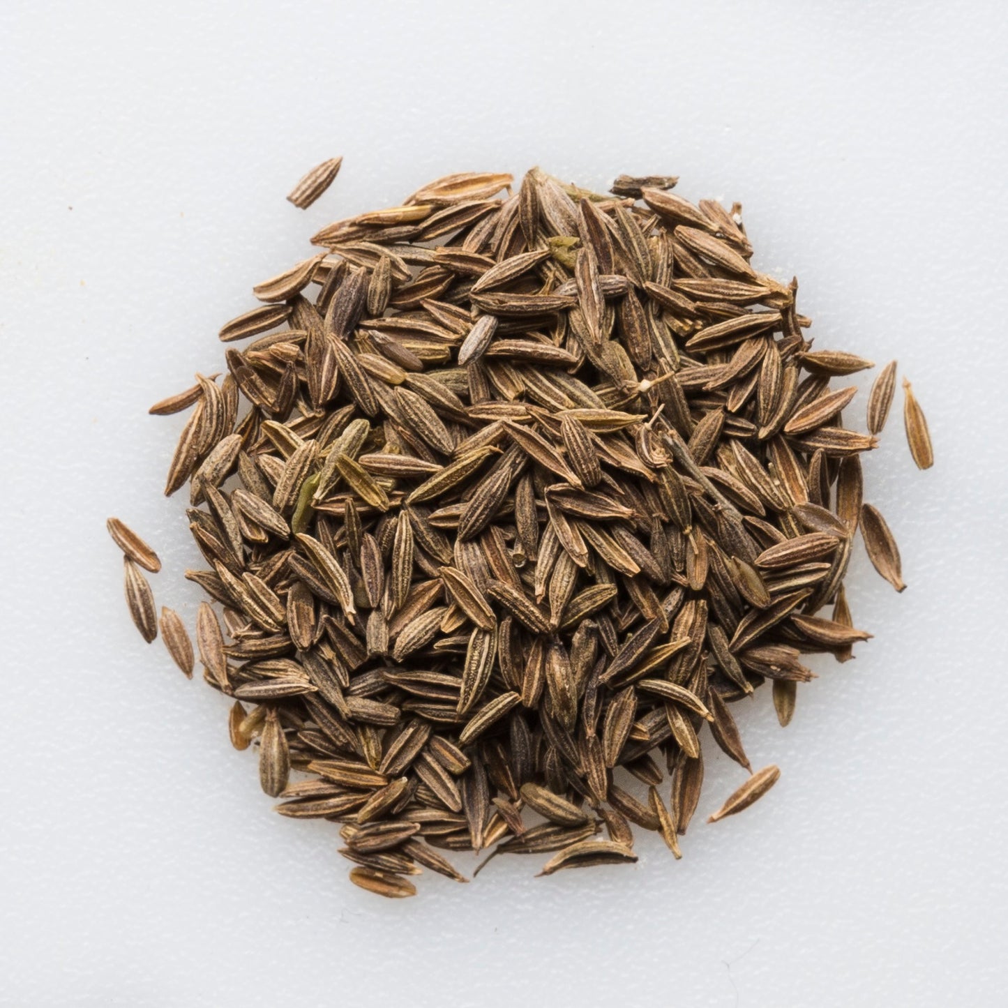 Organic Cumin Seed