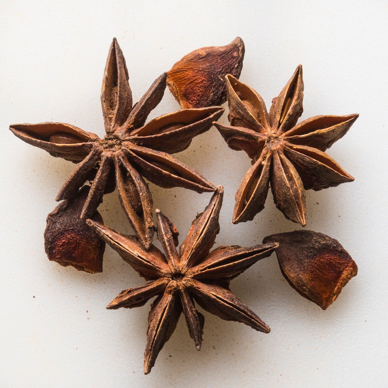 Organic Anise Star – Smith & Truslow Bulk Organic Spices & Herbs