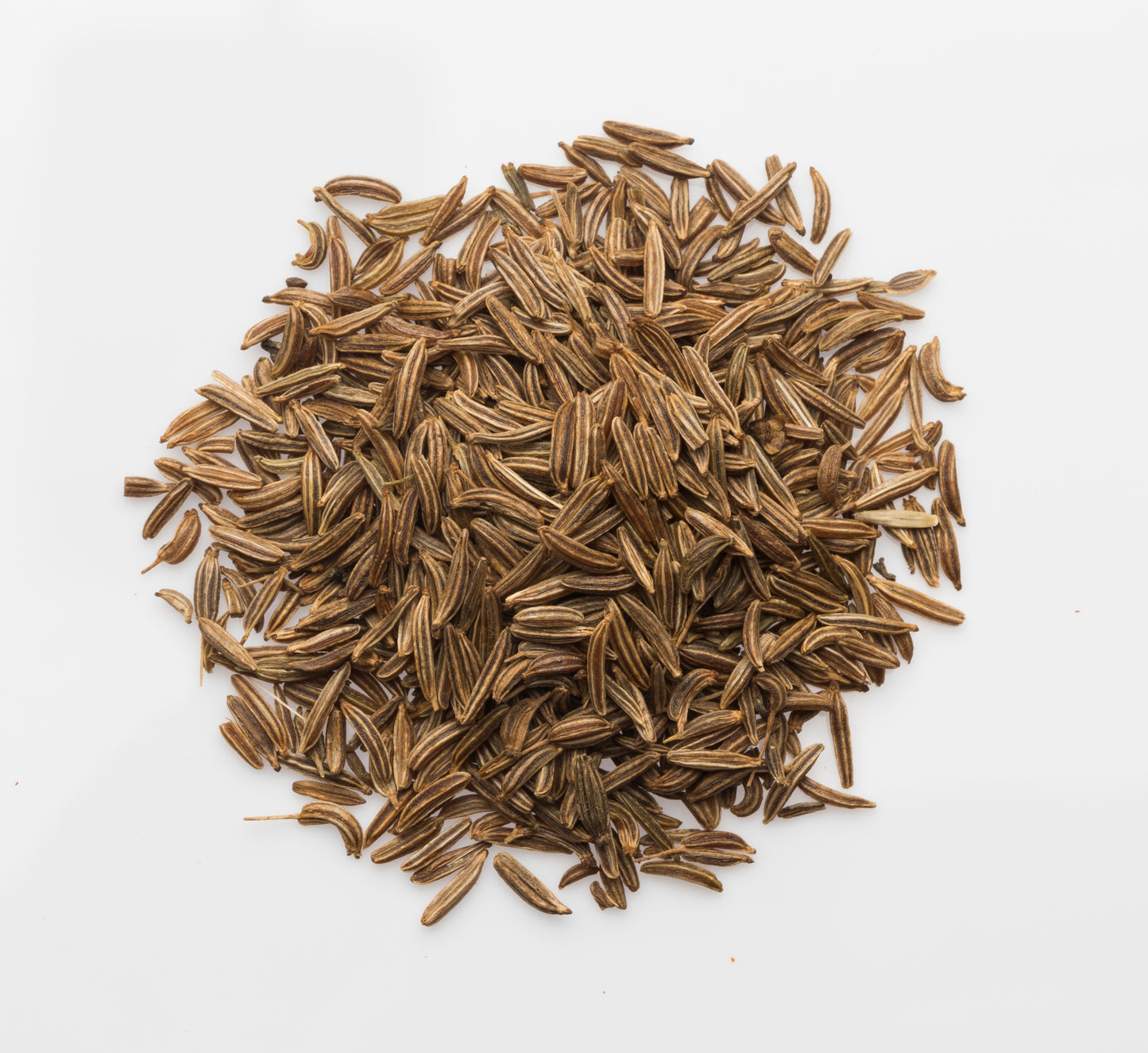 Organic Caraway Seed