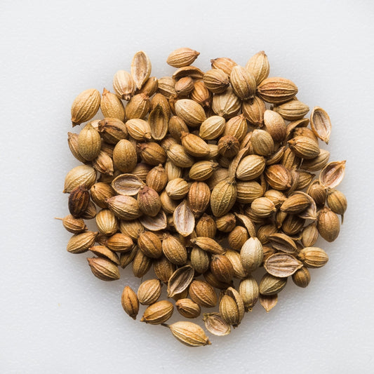 Organic Coriander Seed