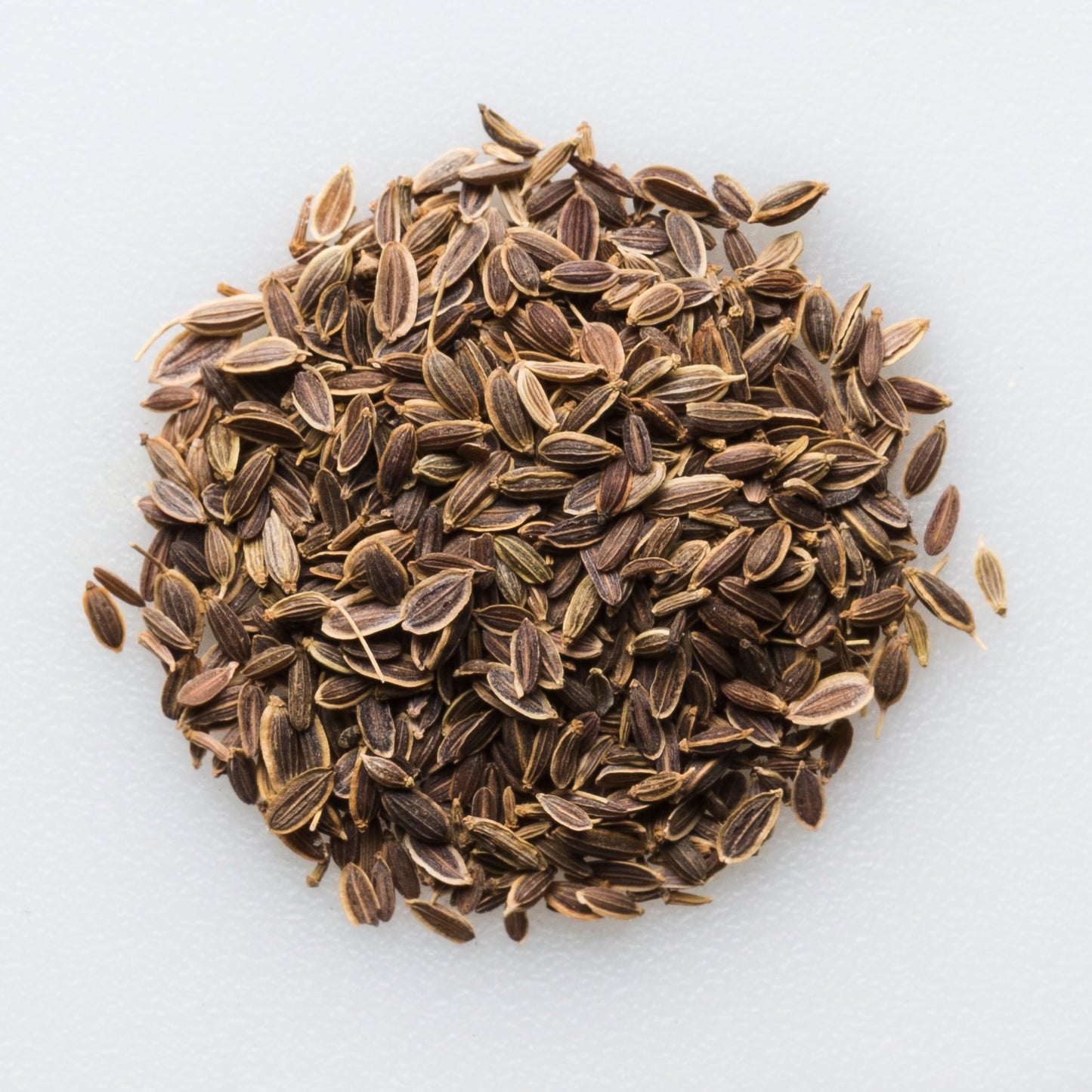 Organic Dill Seed